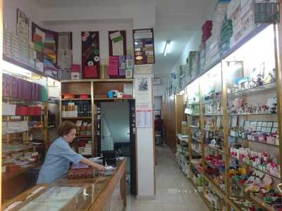 La tipografia Danisi di via Davanzati. Sulla sinistra, al bancone, la proprietaria 72enne Giovanna Danisi